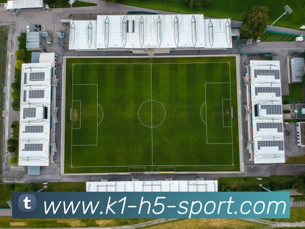 k1体育平台生态图