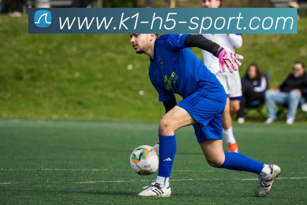 k1体育APP 封面图